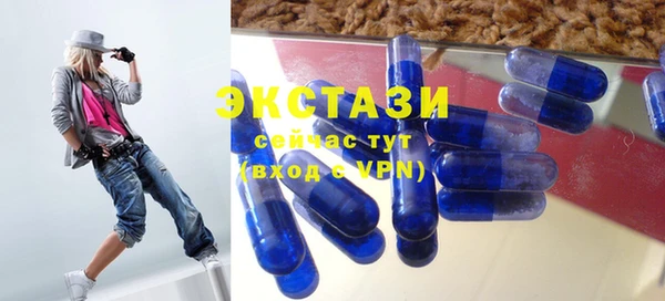 индика Пестово