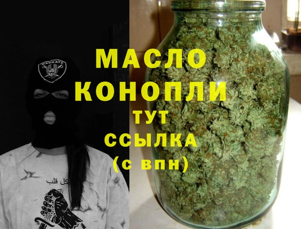 индика Пестово