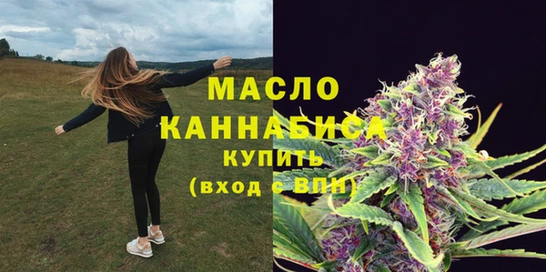 индика Пестово
