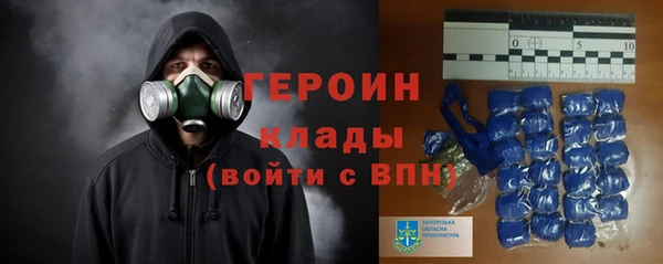 индика Пестово