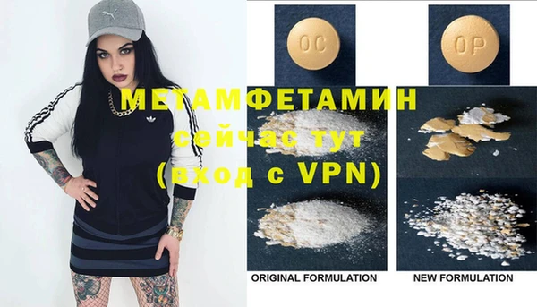 индика Пестово