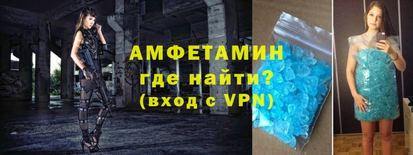 индика Пестово