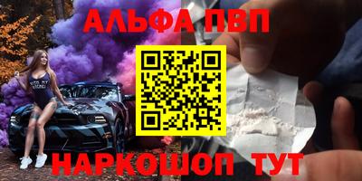 СК Гатчина