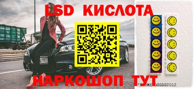 СК Гатчина