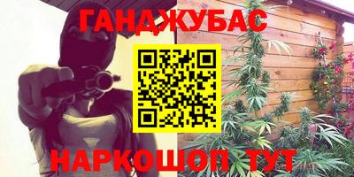 СК Гатчина