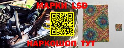 СК Гатчина
