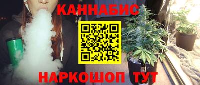 СК Гатчина