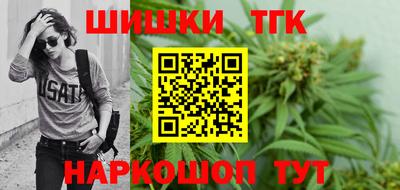 СК Гатчина