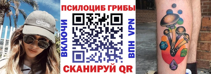 закладки Рославль Псилоцибиновые грибы Cubensis