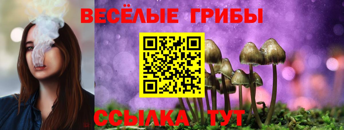 Псилоцибиновые грибы прущие грибы  Галлюциногенные грибы прущие грибы  Вход с VPN  Рославль 