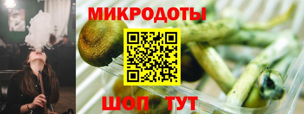 Галлюциногенные грибы Magic Shrooms  наркошоп  Рославль 