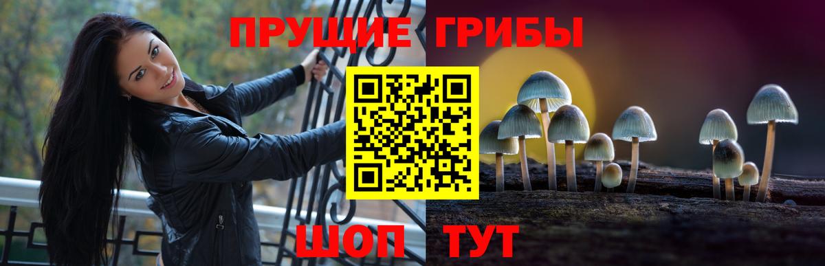 Галлюциногенные грибы GOLDEN TEACHER Рославль